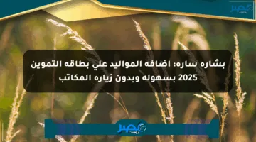 بشارة سارة: إضافة المواليد على بطاقة التموين 2025 بسهولة وبدون زيارة المكاتب